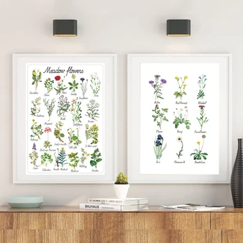Laukinės Gėlės, Diagramos, Paveikslai Tapyba Augalų Gėlių Rūšių Botanikos Švietimo Plakato Spauda Sienos Nuotraukos, Vaikų Kambarys Sienos Meno Dekoro  5