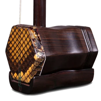 Kinijos Erhu Profesional Muzikos Instrumentas De Cuerda LuLinSheng Dviejų Žvaigždučių Eruh su stygos atveju lankas instrumentos chinos  10